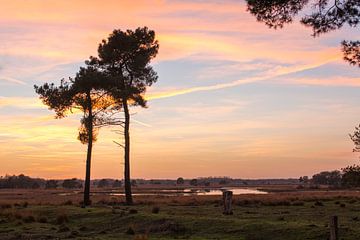 Ondergaande zon Strabrechtse Heide met een ven van Ger Beekes