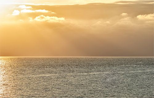 Harpe légère au-dessus de la mer