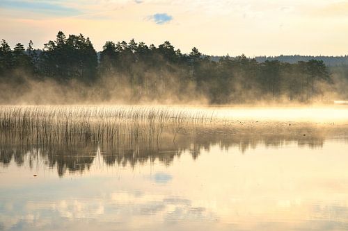 Mist in het water bij zonsopgang op een Zweeds meer