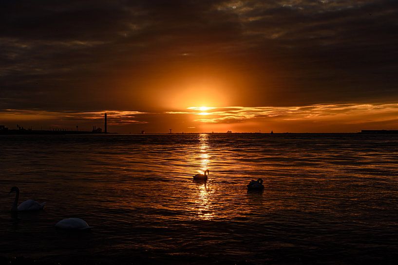 Sunset at Landtong Rozenburg. by Jaap van den Berg