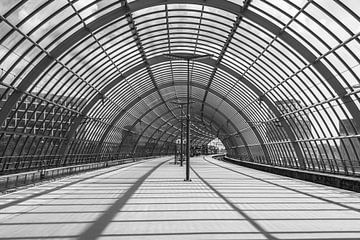 Vordach des Bahnhofs Amsterdam Sloterdijk von Paul Veen
