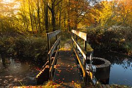 Waterloop forest bridge in autumn by Martien Hoogebeen Fotografie