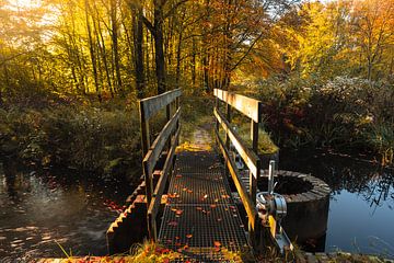 Waterloop forest bridge in autumn by Martien Hoogebeen Fotografie