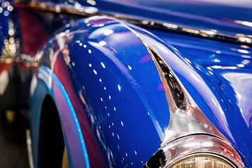 Mudguard Talbot Lago by Rob Boon