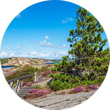 Landschap op het eiland Dyrön in Zweden van Rico Ködder