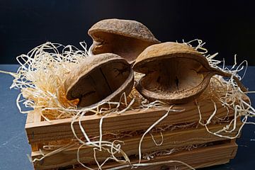 Buddha-Nüsse naturbelassen in einem Kiste mit Holzwolle von Babetts Bildergalerie