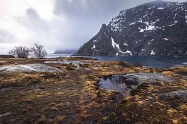 Die majestätische Landschaft der Lofoten – geprägt von aufschlussreicher Ruhe und unberührter Natur von PhotoCluster