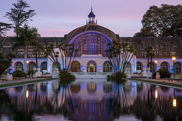 Perfect Reflections - Botanical Building Sunrise