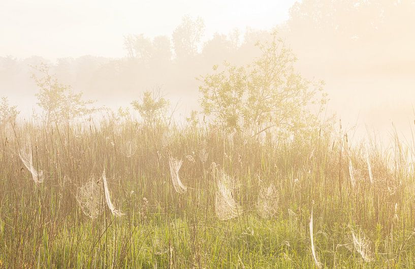Sunrise Drenthe (Netherlands) by Marcel Kerdijk