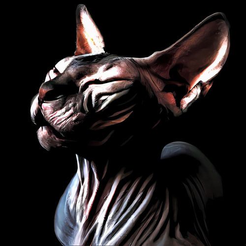 Low key portret illustratie van een zwarte sphynx kat met gesloten ogen