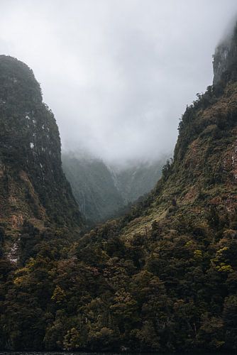 Doubtful Sound : une beauté à découvrir