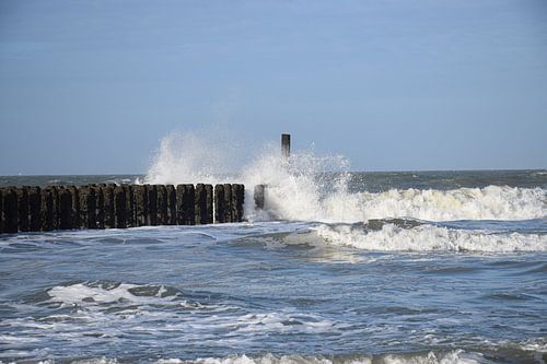 TideTales - le surf à Domburg