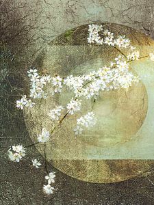 Blüte. Japanischer Stil. Wabi-Sabi. 5