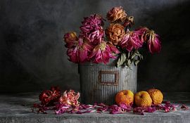 Nature morte 113 sur jejaka art