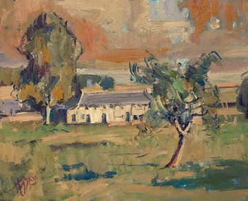 Late afternoon