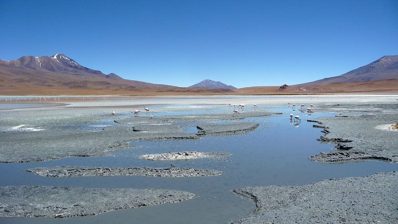 'Landschap', Bolivia by Martine Joanne