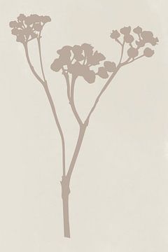 Moderne botanische Kunst. Blume in Beige auf Weiß von Dina Dankers