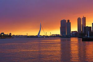 Rotterdam sur Michel van Kooten