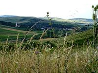 Heuvels in Roemenië (2) 
