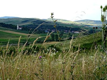 Heuvels in Roemenië (2)  van Wilma Rigo