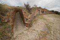 Oude Duitse bunker op het eiland Terschelling van Tonko Oosterink thumbnail