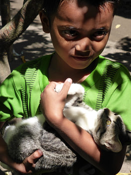 Jongen met poes op Lombok