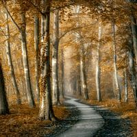 Een Plezierige Wandeling