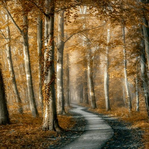 Een Plezierige Wandeling van Lars van de Goor