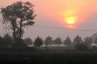 Lever de soleil avec brume