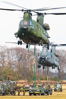 Chinook transporthelikopters aan het werk!