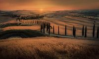 Hills of Tuscany, Val d'Orcia, Italy by Tim Rensing thumbnail