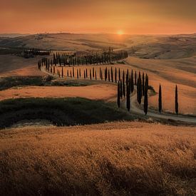 Collines de Toscane, Val d'Orcia, Italie sur Tim Rensing