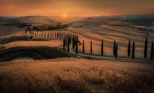 Hügellandschaft der Toskana, Val d'Orcia, Italien von Tim Rensing