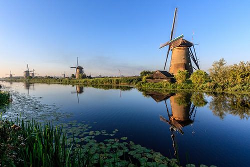 De Nederwaardse zijde van Kinderdijk