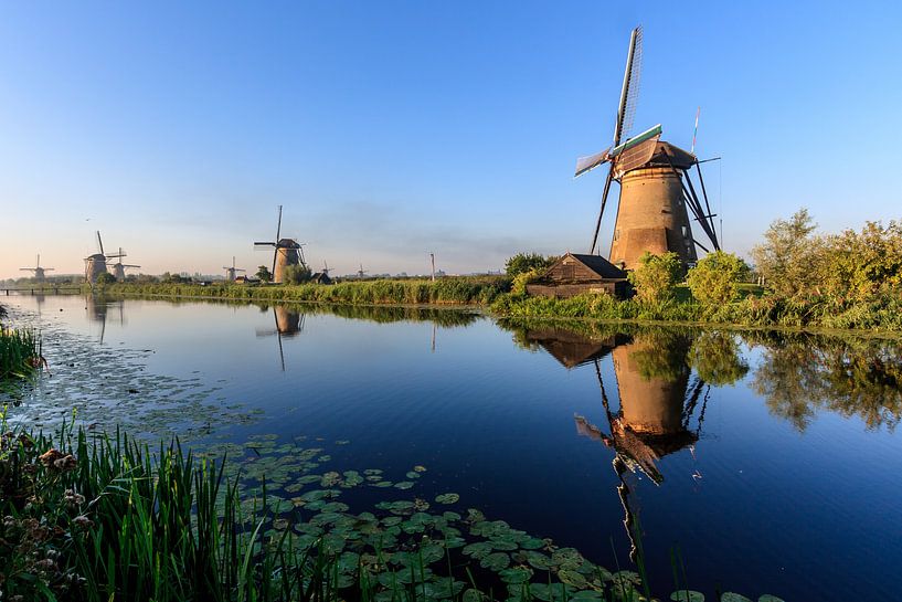 De Nederwaardse zijde van Kinderdijk par Stephan Neven