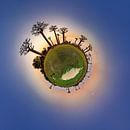 Planeet Baobab na zonsondergang von Dennis van de Water Miniaturansicht