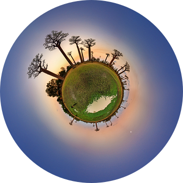 Planeet Baobab na zonsondergang van Dennis van de Water
