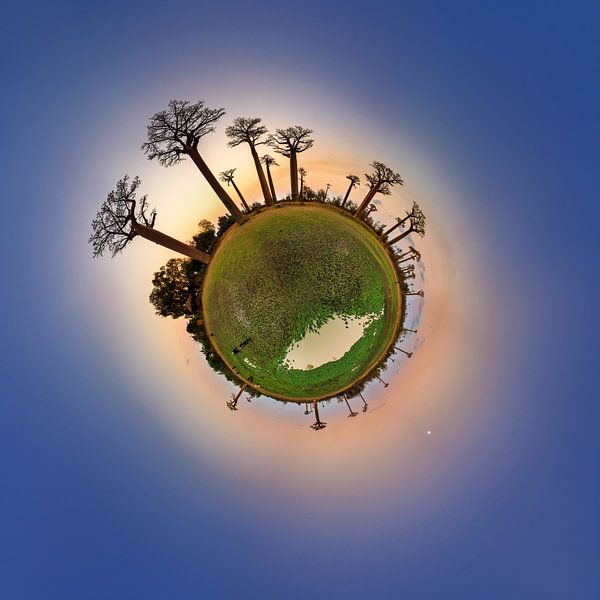 Planeet Baobab na zonsondergang par Dennis van de Water