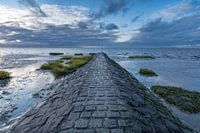 Waddenzee in Sahlenburg