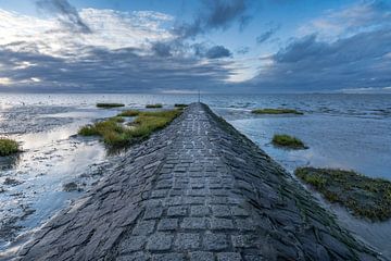 Wadden Sea in Sahlenburg by cux-motive.de