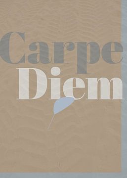 Text 'Carpe Diem