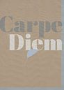 Tekst ‘ Carpe Diem’ van Willy Sengers thumbnail