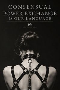Consensual Power Exchange – Vertrauen und Hingabe