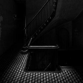 Trappen in de duisternis van Cees Stalenberg