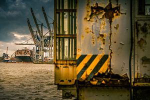Der Hamburger Hafen mit seinen Containerterminals