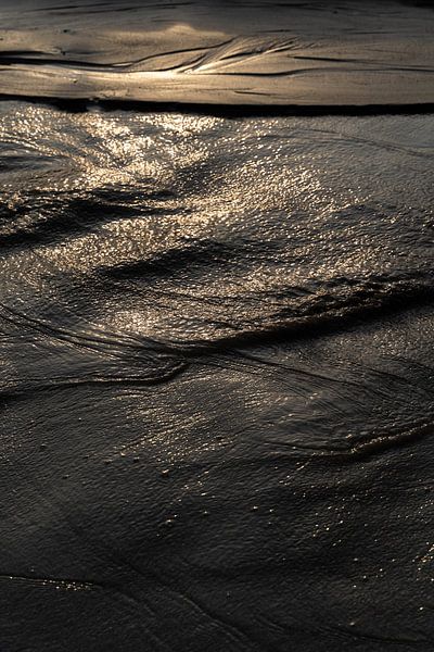 Golden light on water provides by Xulé Bogers