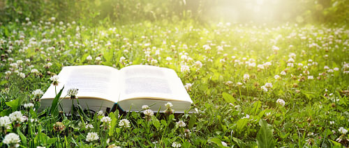 Open book lies on a lawn with clover in the evening sun, holidays and relaxation in the garden durin