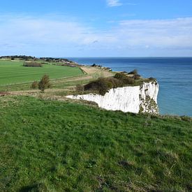 Witte krijtrotsen van Dover met groene weide (gras) en blauwe zee van Studio LE-gals