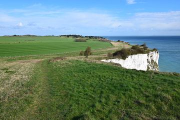 Witte krijtrotsen van Dover met groene weide (gras) en blauwe zee van Studio LE-gals