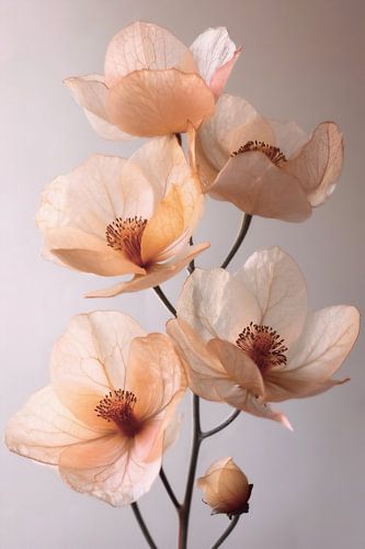 Ein Hauch von Frühling Nr. 2